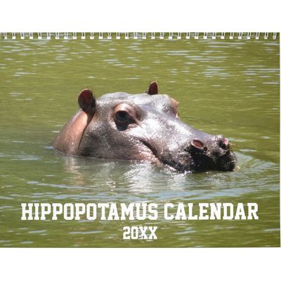 Hippopotamus 2027 Wall Calendar