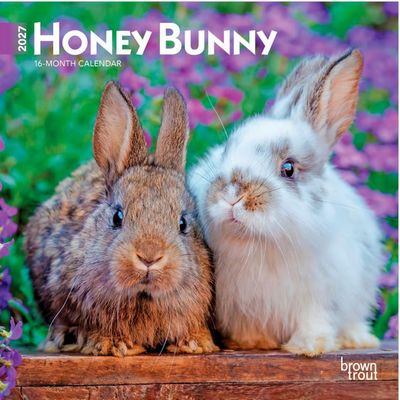  Honey Bunny 2027 Mini Wall Calendar