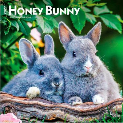 Honey Bunny 2027 Wall Calendar