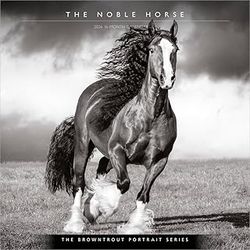 Horse Portraits Calendars
