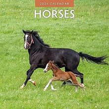 Horses 2026 Calendar