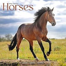 Horses 2026 Calendar