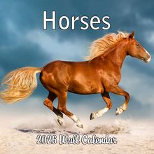 Horses 2026 Calendar