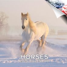 Horses 2026 Calendar