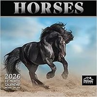 Horses 2026 Calendar