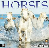 Horses 2026 Calendar