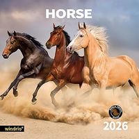 Horses 2026 Calendar
