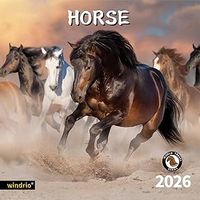 Horses 2026 Calendar