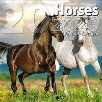 Horses 2026 Calendar