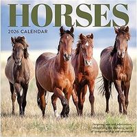 Horses 2026 Mini Wall Calendar