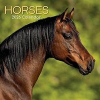 Horses 2026 Wall Calendar