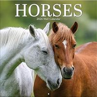 Horses 2026 Wall Calendar
