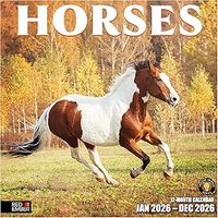 Horses 2026 Wall Calendar