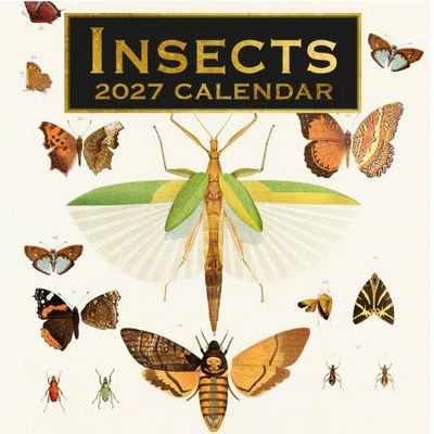 Insects 2027 Wall Calendar