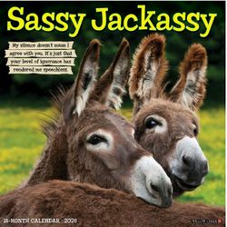 Sassy Jackassy 2026 Wall Calendar