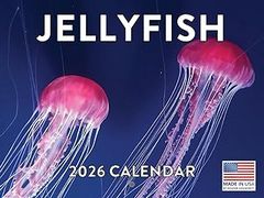 Jellyfish 2026 Wall Calendar