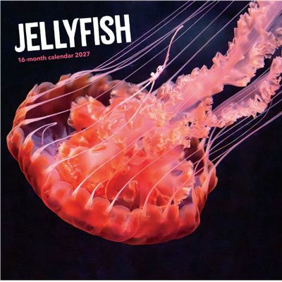 Jellyfish Photo 2027 Wall Calendar