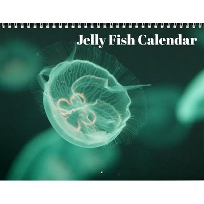 Jellyfish Photo 2027 Wall Calendar