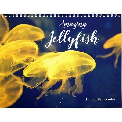 Amazing Jellyfish 2027 Wall Calendar