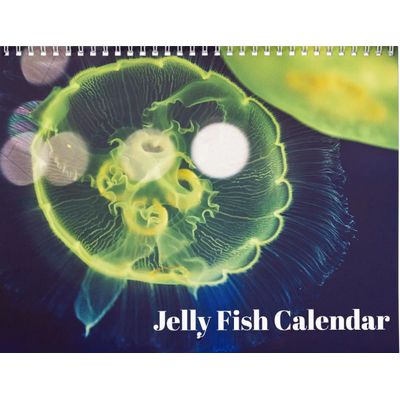 Jellyfish 2027 Wall Calendar