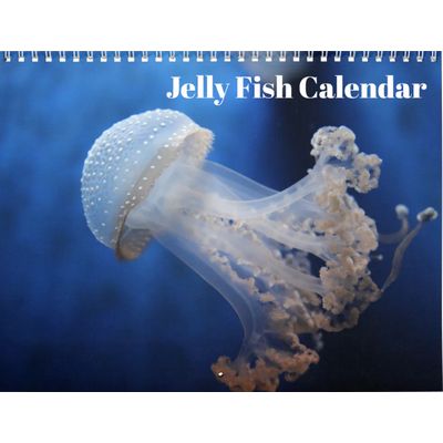 Jellyfish 2027 Wall Calendar
