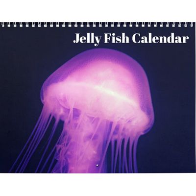 Jellyfish 2027 Wall Calendar