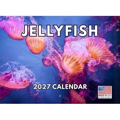 Jellyfish 2027 Wall Calendar