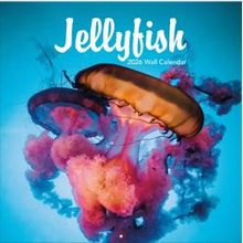Jellyfish Photo 2026 Wall Calendar