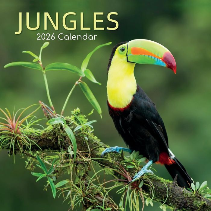 Jungles 2026 Wall Calendar