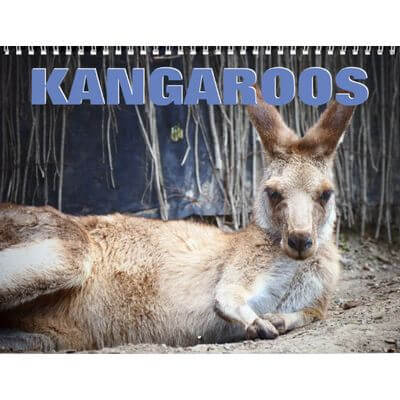 Kangaroos 2027 Wall Calendar