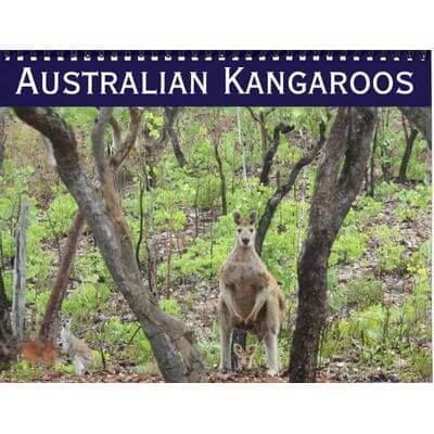 Kangaroos 2027 Wall Calendar