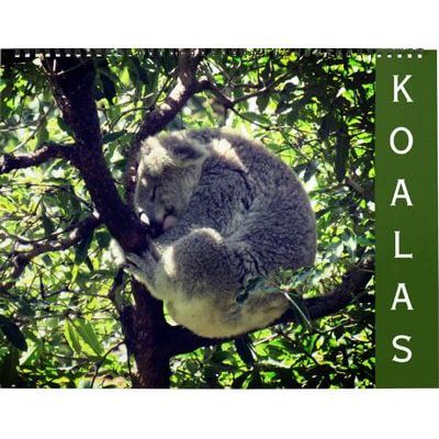 Koalas 2027 Wall Calendar