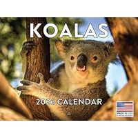Koalas 2026 Wall Calendar