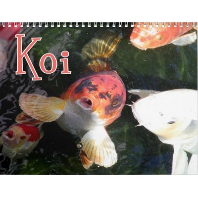 Koi Fish 2027 Calendar