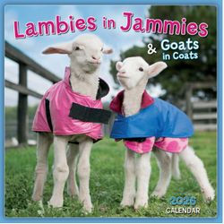 Lambies in Jammies 2026 Mini Wall Calendar