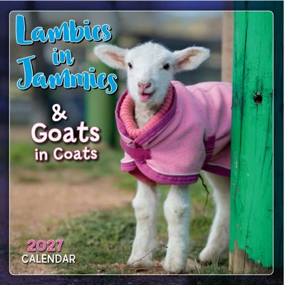 Lambies in Jammies 2027 Mini Wall Calendar