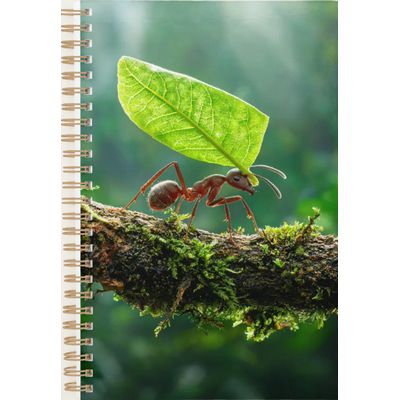 Leafcutter Ant 2027 Planner