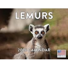 Lemurs Calendar