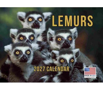 Lemurs 2027 Calendar