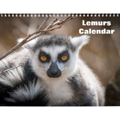 Lemurs 2027 Calendar