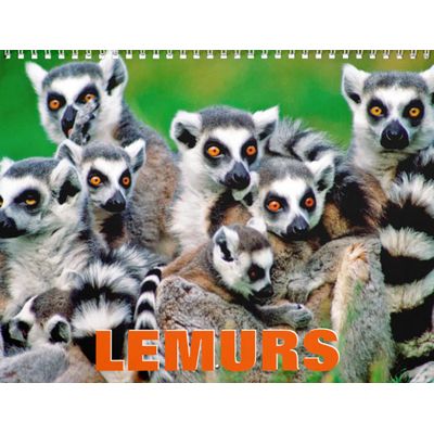 Lemurs 2027 Calendar