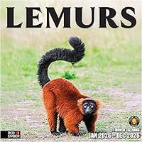 Lemurs Calendar