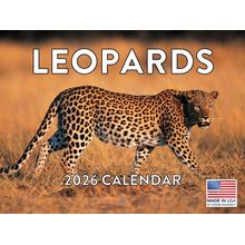 Leopards 2026 Calendar