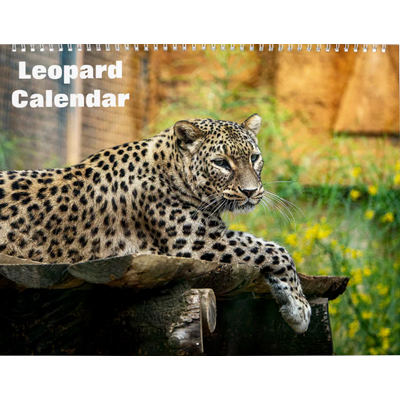 Leopard 2027 Calendar