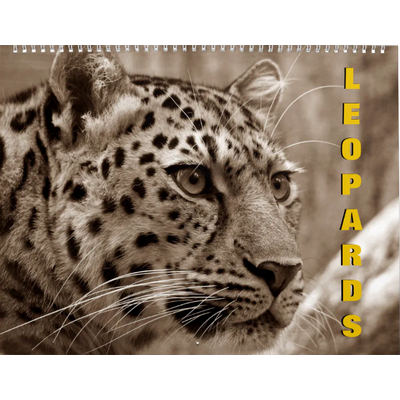 Leopards 2027 Calendar