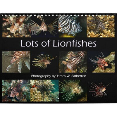 Lionfishes 2027 Wall Calendar