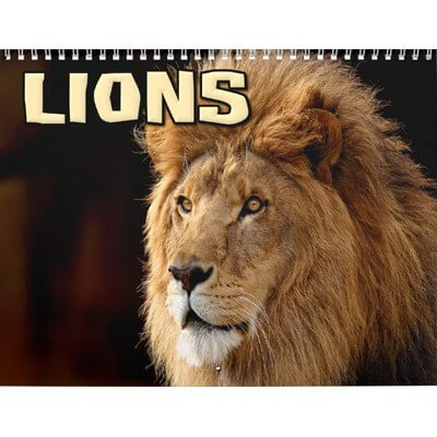 Lions 2027 Wall Calendar