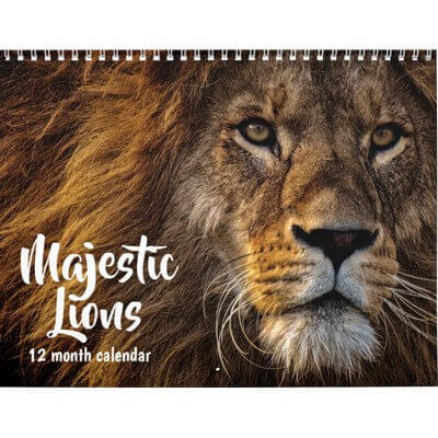 Majestic Lions 2027 Wall Calendar