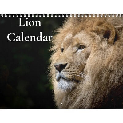Lions 2027 Wall Calendar