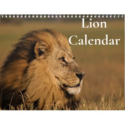 Lions 2027 Wall Calendar